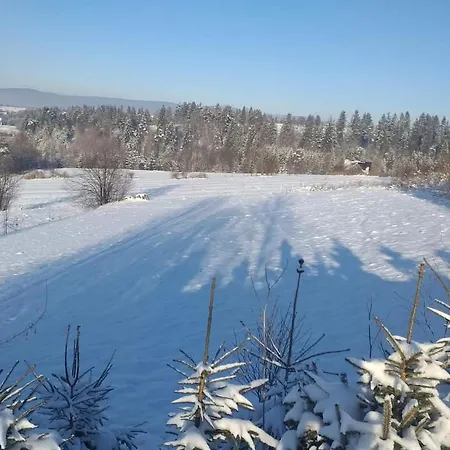 Z Widokiem * Szaflary