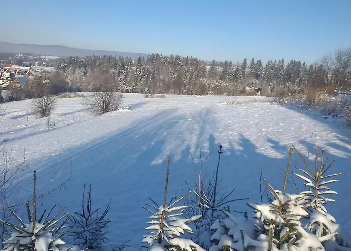 Z Widokiem * 斯扎法拉瑞